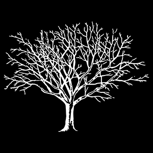 White Tree Network logo